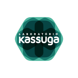 kassuga-logo-i9tec